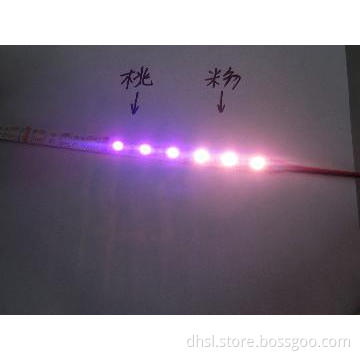smd5050 led strip light 30pcs led per meter ip65(4)